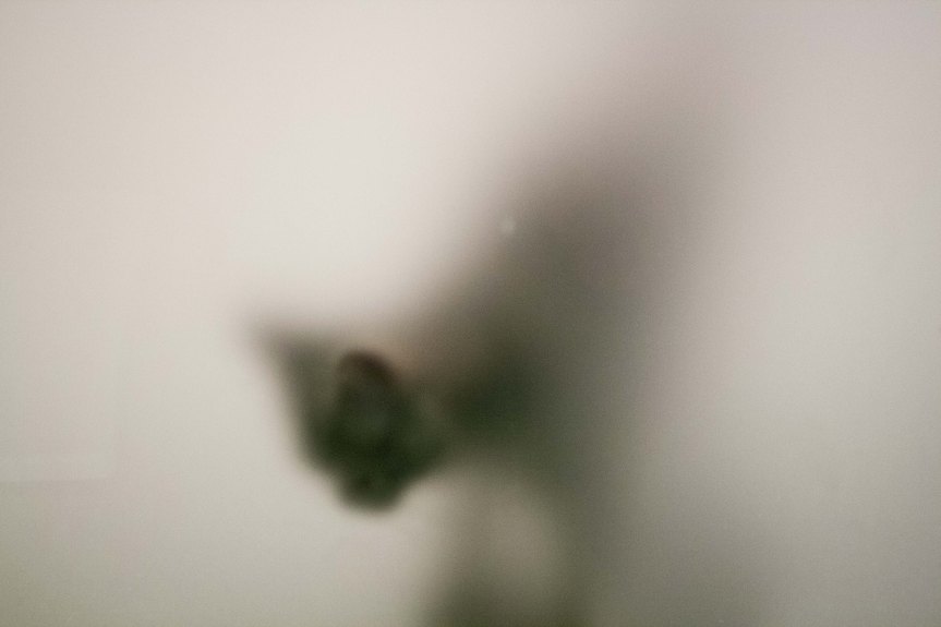 blurry photo of a cat